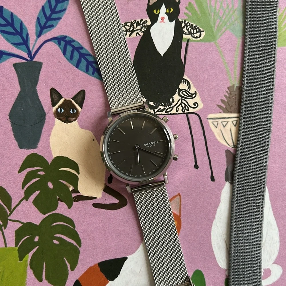 Skagen Smart Watch Silver Mesh Strap Watch